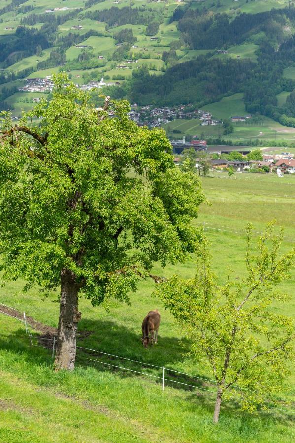 Riemenerhof Villa Fügen Eksteriør bilde